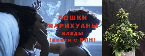 ГАЛЛЮЦИНОГЕННЫЕ ГРИБЫ Армянск