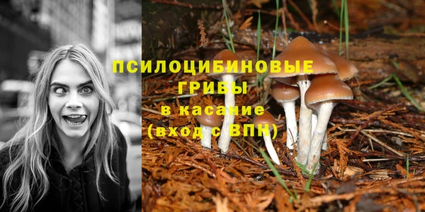 МДПВ Арсеньев